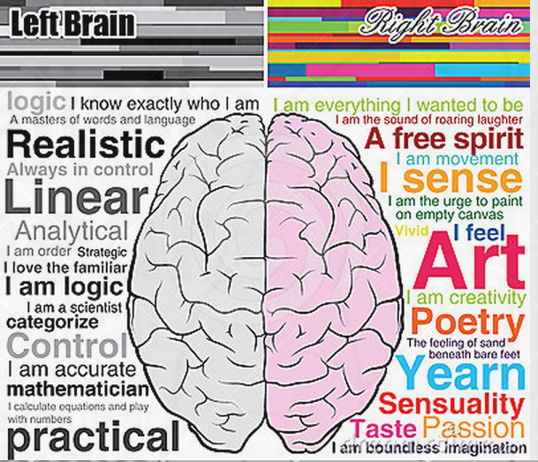 Training resource: the brain